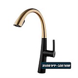 ברז פרח נשלף קלאסיק 2 מצבים 1055GB שחור מט וזהב עם ידית זהב ברז פרח נשלף קלאסיק 2 מצבים 1055GB שחור מט וזהב עם ידית זהב