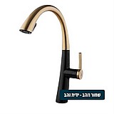 ברז פרח נשלף קלאסיק 2 מצבים 1055GB שחור מט וזהב עם ידית זהב ברז פרח נשלף קלאסיק 2 מצבים 1055GB שחור מט וזהב עם ידית זהב